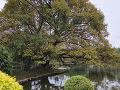 -晓港公园