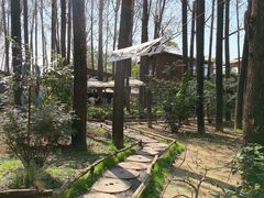 -林间山庄