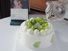 -山与蓝·轻糖鲜果蛋糕(勒泰店)