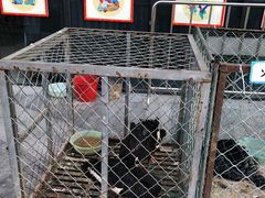 -友阿国际广场(邵阳店)