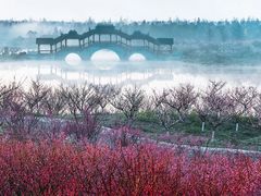 -上海海湾国家森林公园