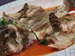清蒸青石斑-悦秀·高级粤菜