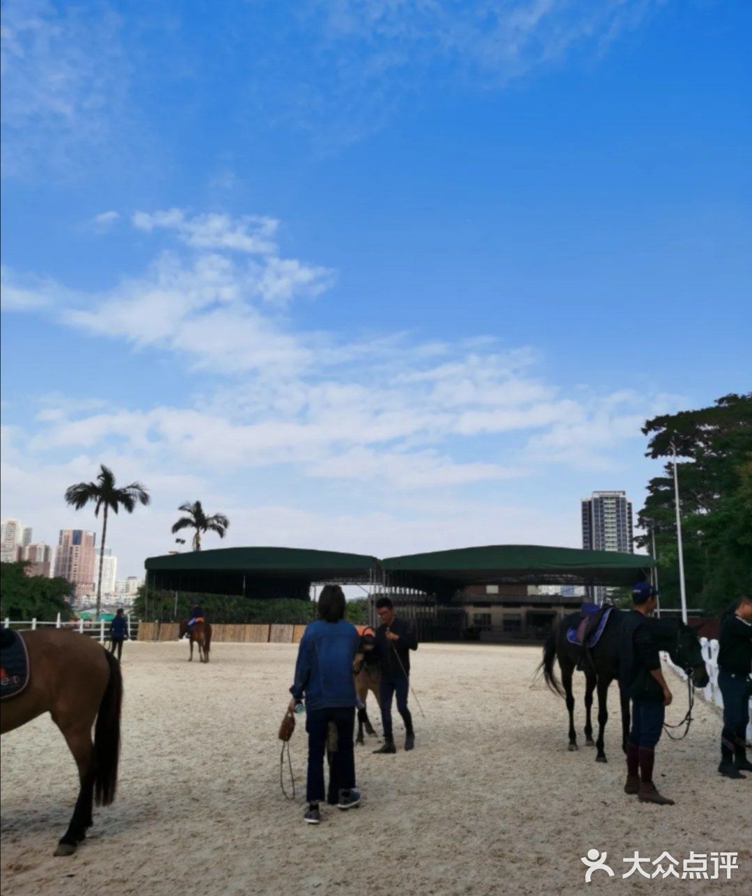 小众运动✔马术🏇🏻