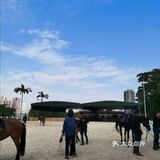 小众运动✔马术🏇🏻