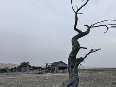 -敦煌古城