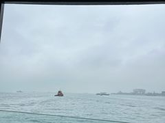 -富豪雪糕车流动点(尖沙咀店)