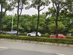 -洨河生态公园