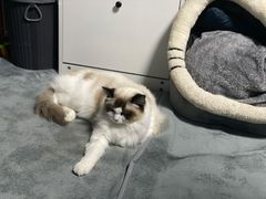 -零纪元VR体验馆·桌游(黄浦店)