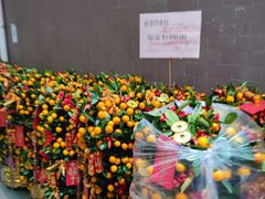 -珍妮曲奇聪明小熊(上环店)