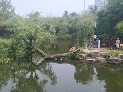 -水绘园