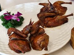 红烧乳鸽-四季海鲜酒楼·粤菜·早茶·宴会(南山中心区店)