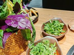 -一朵菌·野生菌探索家火锅(南亚店)