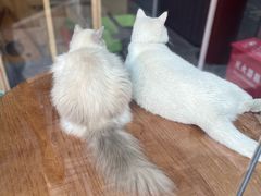 -府学·秋果S酒店(北京南锣鼓巷四合院店)