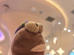 -小董哥烤串·爆汁大油边(故宫店)