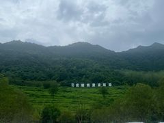 -虎啸峡漂流