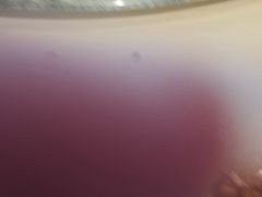 -巴扎屋大盘鸡·新疆菜(汇嘉时代店)