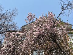 -天津意大利风情旅游区
