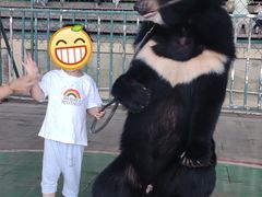 -东方熊牧场