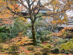 -三千院
