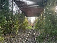 -合肥滨湖国家森林公园