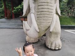 -华雅花园大酒店