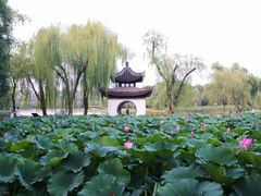 -国家植物园南园