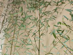 -十二舍·湯物素煮(江泰潤政店)