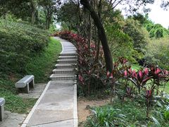 -云溪植物园