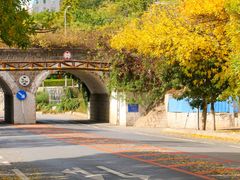 -大连市甘井子区体育场