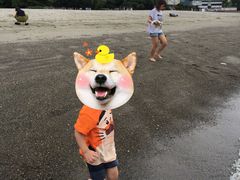 -台场海滨公园船码头