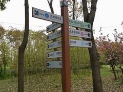 -同里国家湿地公园