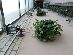 android_upload_pic-吾味小厨(沈阳梅江店)