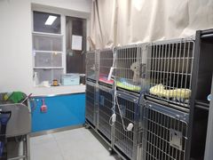 -康爱犬猫诊所·牙专科·骨外科·影像内科(丰宁店)