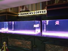 -星巴克(北京西大望路温特莱店)