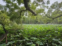 -莲池书院博物馆