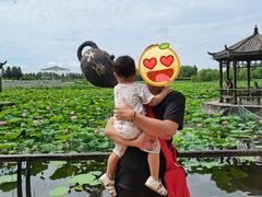 -卧龙湖