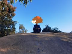 -火炉山森林公园