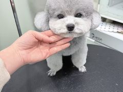 -八公叔叔宠物美容连锁(春申店)