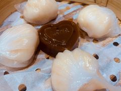 金牌虾饺皇-赏点粤式点心(广州塔店)