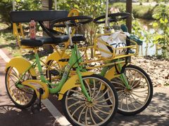 -合肥滨湖国家森林公园