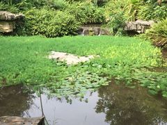 -龙头寺公园