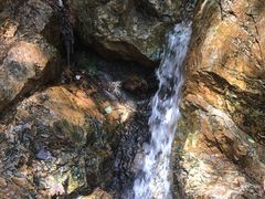 -CoCo都可(惠山古镇店)