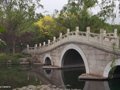 -国家植物园