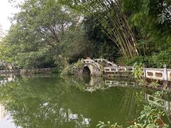 -云南勐巴娜西珍奇园