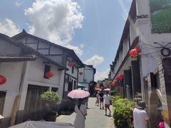 -后柳水乡