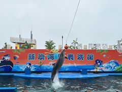 -秦皇岛新澳海底世界