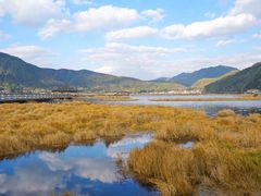 -腾冲北海湿地