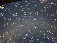 -张之洞与武汉博物馆