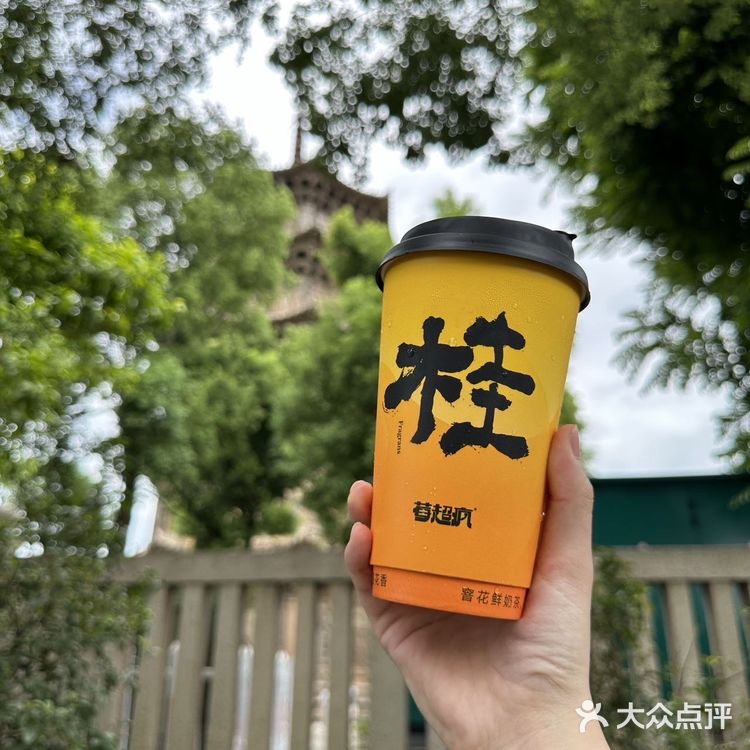 莓超疯又一西街特别主题店来啦！