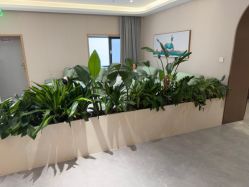 点击看大图 -LIHER北京丽合医疗美容医院